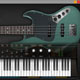 Ample Bass J II Ample Bass J II