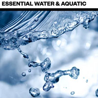 Big Room Sound Essential Water and Aquatic
