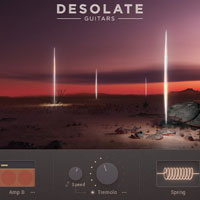 E-instruments Desolate Guitars