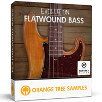 Evolution Flatwound Bass Evolution Flatwound Bass