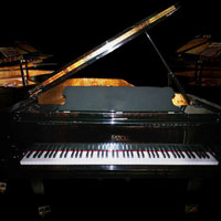 Imperfect Samples Fazioli Ebony Concert Grand Extreme Edition [35 DVD]