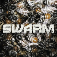 Mandolin Swarm Mandolin Swarm