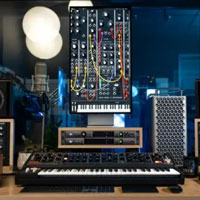 Moog Music Plugins Bundle 2024 Moog Music Plugins Bundle 2024