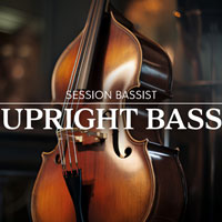 Native Instruments Session Bassist Upright Bass