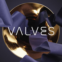 Native Instruments Valves
