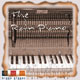 The Rain Piano The Rain Piano