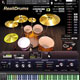 Realitone RealiDrums 2.0