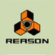 REASON 4
