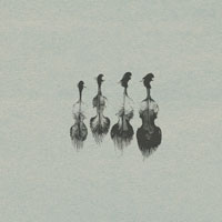 Wrongtools Feathersome Strings