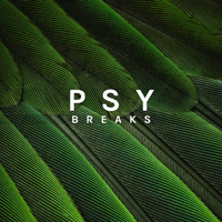 Zenhiser Psy Breaks Zenhiser Psy Breaks