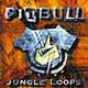 Pitbull Jungle Loops Pitbull Jungle Loops